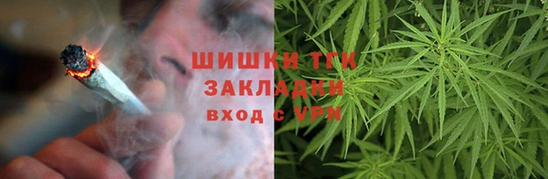 СК Алзамай