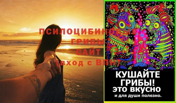МДПВ Алексин