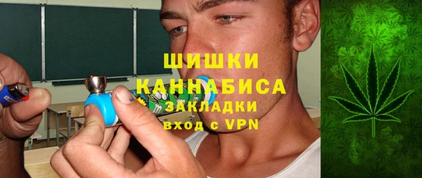 МДПВ Алексин